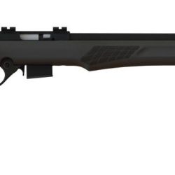 RB22M 22MAG BLK/SYN 21″ 5+1