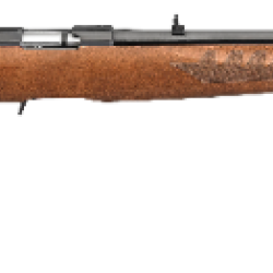 AMERICAN 22LR BL/WD 22″ 10+1