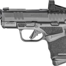 HELLCAT RDP 9MM BK SMSC NS MS#