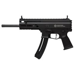 GPWR STRIBOG TR22 .22LR 10″ 25RD BLK