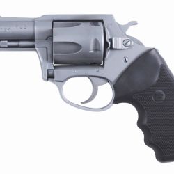 CHARTER BULLDOG 44SPC 2″ SS RB