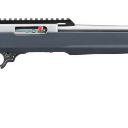 10/22 22LR SS/SYN GRAY 18″