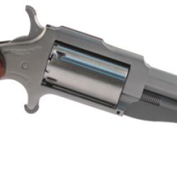 THE EARL 22LR/22MAG 3″ SS 5SH