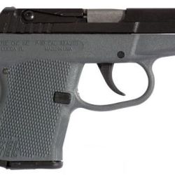 P-32 32ACP 7+1 BL/GRAY POLY