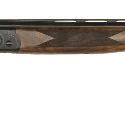 GOLD RESERVE SPORTING 12/30 BK