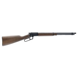 CHIAPPA LA322 TD 22MAG 18.5″