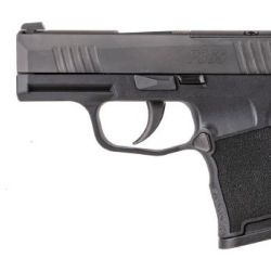P365 380ACP BLK 10+1 NS