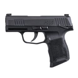 P365 380ACP BLK 10+1 NS MS MA