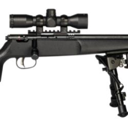 RASCAL TGT XP 22LR CPT BLK PKG