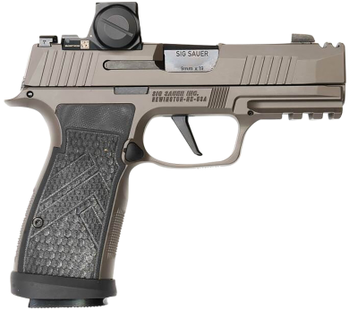 Sig Sauer 365AXGCA9LEGIONRXX P365 AXG Legion ROMEO-X 9mm 17+1 3.10″ Compact Frame Legion Gray Cerakote Stainless Steel Slide G-10 Grip