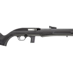 RS22 22LR BLK/SYN 18″ 10+1 TB