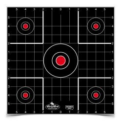 B/C DIRTY BIRD SIGHT IN TGT 12-12″