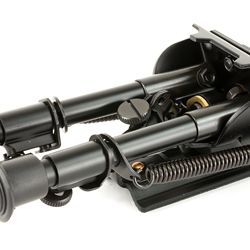 BH SPRTSTR PVT/TRAVS BI-POD 6-9