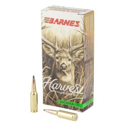 BARNES HARV ST 6MM ARC 100GR 20/200