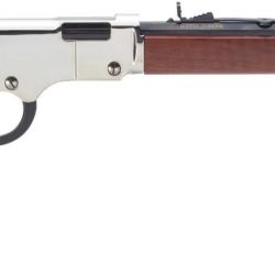 GOLDEN BOY SILVER LEVER 17HMR
