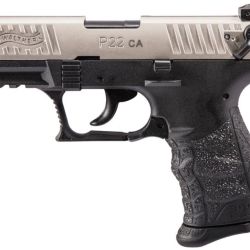 P22 22LR 10+1 3.4″ NICKEL CA