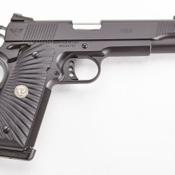 CQB 45ACP 5″ 8+1 BLK AMBI