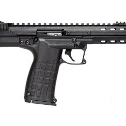 CP33 22LR 33+1 BL/BLACK TB