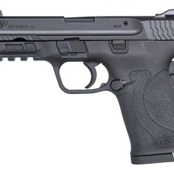 M&P380 SHIELD EZ 380ACP NTS