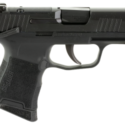 Sig Sauer 365380BSSMSMA P365  380 10+1 3.10″ Nitron