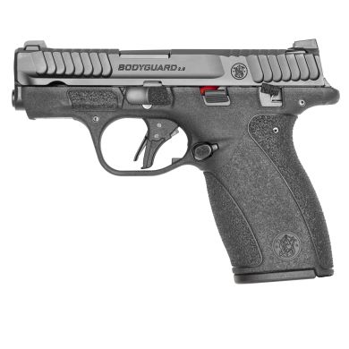 S&W M&P BDYGRD 2.0 380ACP 10RD TS