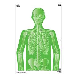 ALLEN EZ AIM 12″X18″ IMPOSING 8PK