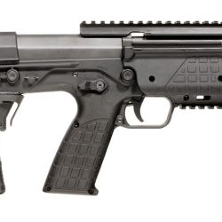 RDB17 CARBINE 5.56 BL/BLK 17″