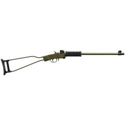 CHIAPPA LITTLE BADGER 22LR 16.5″ GR