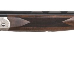 GOLD RESERVE SPORTING 12/30