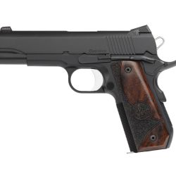 DW GUARDIAN 38SPR 9+1