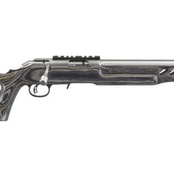 AMERICAN 22LR SS/LAM THOLE 18″