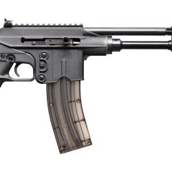 PLR-22 22LR 26+1 BLK 10.1″
