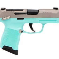 P365 380ACP NKL/TURQUOISE 10+1