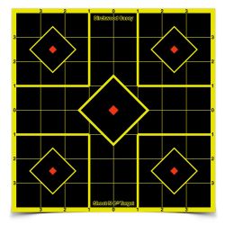 B/C SHT-N-C SIGHT IN TGT 15-8″
