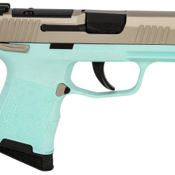 SIG 365380REBMS         P365 380 XR3MS 3.1 10R TRQ