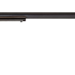 RR 22LR BLUE 16″ 6RD FS