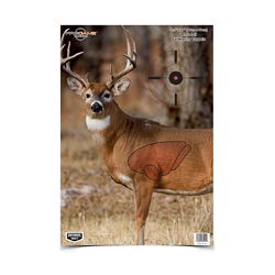 B/C PREGAME DEER TGT 3-16.5X24