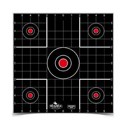 B/C DIRTY BIRD SIGHT IN TGT 12-12″