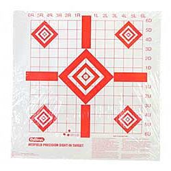 CHAMPION RF PREC SIGHT-IN TRGT 100PK