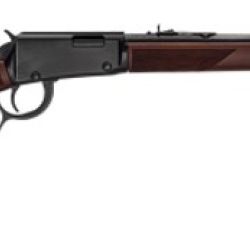 LEVER ACTION 22MAG LG LOOP