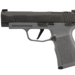 P365 XL