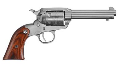 BEARCAT 22LR SS 4″ 6SH