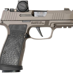 Sig Sauer 365AXGCA9LEGIONRXX P365 AXG Legion ROMEO-X 9mm 17+1 3.10″ Compact Frame Legion Gray Cerakote Stainless Steel Slide G-10 Grip