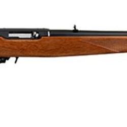 10/22 INTERNATIONAL BL/WD 22LR