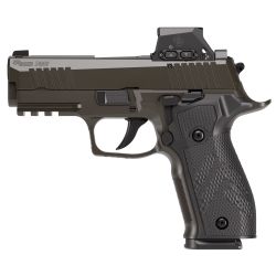 SIG 226 XLGN DA/SA 9MM 3.8″ S-L PRO