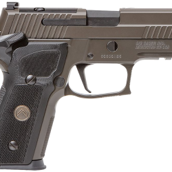Sig Sauer 229R9LEGIONSAOR2 P229 Compact Legion SAO 9mm Luger 3.90″ 10+1, Legion Gray Cerakote, Picatinny Rail/Beavertail Frame, Romeo 1 Cut Slide, Black G10 Grip