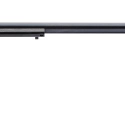 RR 22LR BLUE 16″ 6RD AS