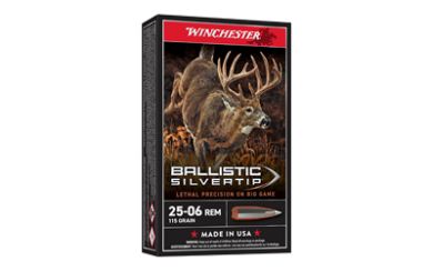 WIN BLSTC TIP 2506RM 115GR 20/200