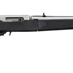 10/22 TD 22LR SS/SYN 18.5″