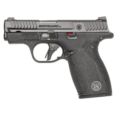 S&W BDYGRD 2.0 380ACP 2.75″ 12RD NTS